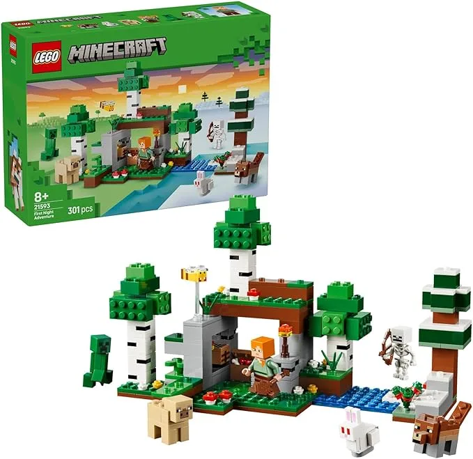 LEGO Minecraft - L’aventure de la première nuit - 21593