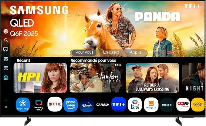 Samsung TQ55Q6FAAU 139,7 cm (55") 4K Ultra HD Smart TV Wi-Fi Noir