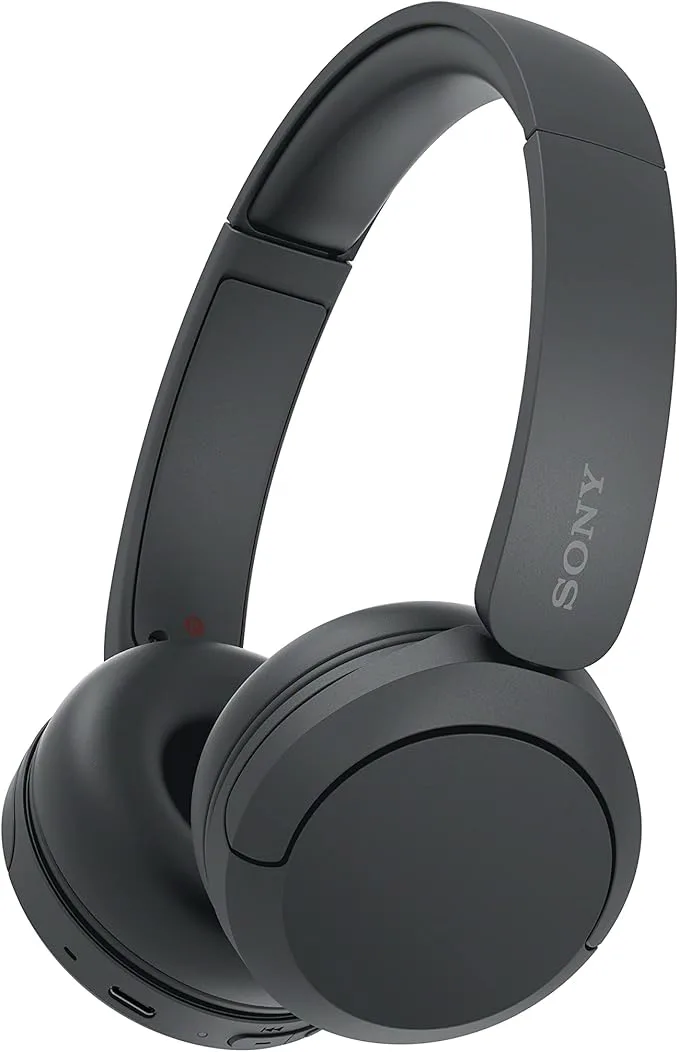 Sony Casque sans fil WH-CH520 Noir